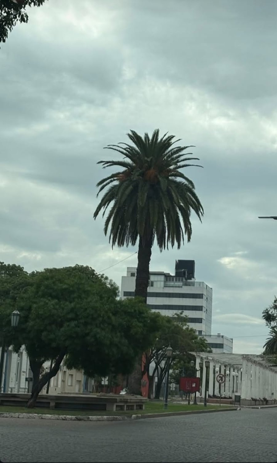 EL TIEMPO EN RAFAELA. El pron&oacute;stico marca cielo ligeramente nublado para toda la semana, con temperaturas agradables a la vista durante la tarde.