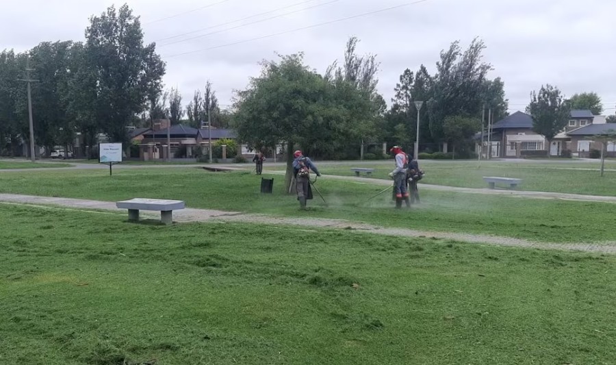 Continúa el plan de desmalezado en la ciudad.