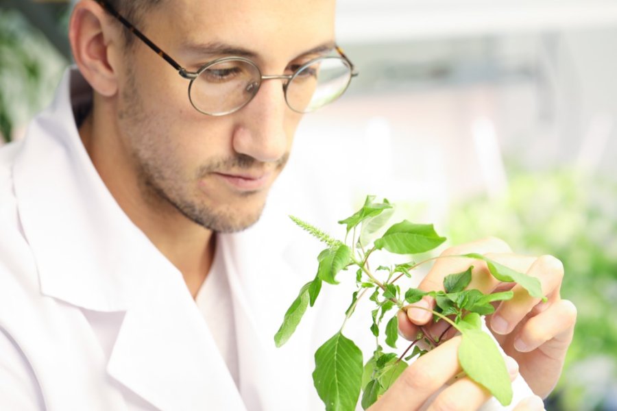 "Estamos convencidos de que tiene el potencial de liderar una nueva categoría tecnológica en el agro”, señaló Nicolás Tognalli, Managing Partner de CITES.