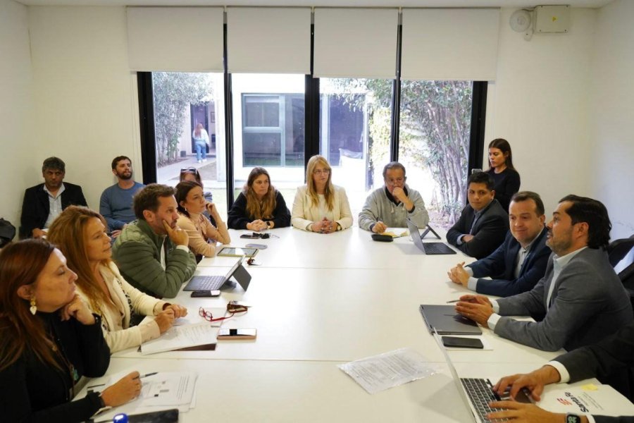 B&aacute;scolo junto a los integrantes de la Comisi&oacute;n de Asuntos Laborales de la C&aacute;mara de Diputados. (DIPUTADOS SANTA FE)