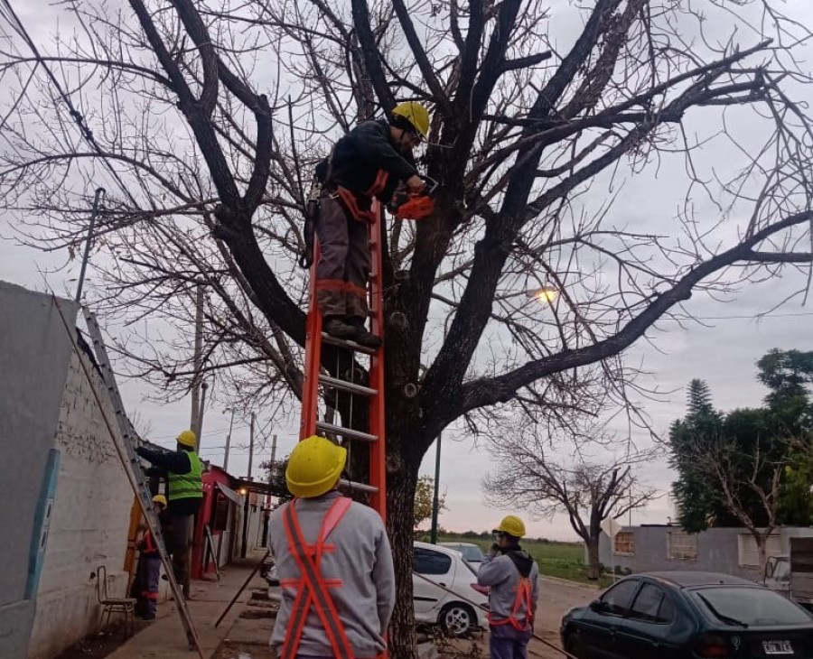 Se recuerda a los vecinos los canales disponibles para realizar reclamos.