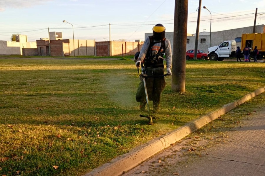 El mantenimiento de áreas verdes, lotes, veredas y patios es clave para una ciudad más limpia y saludable.