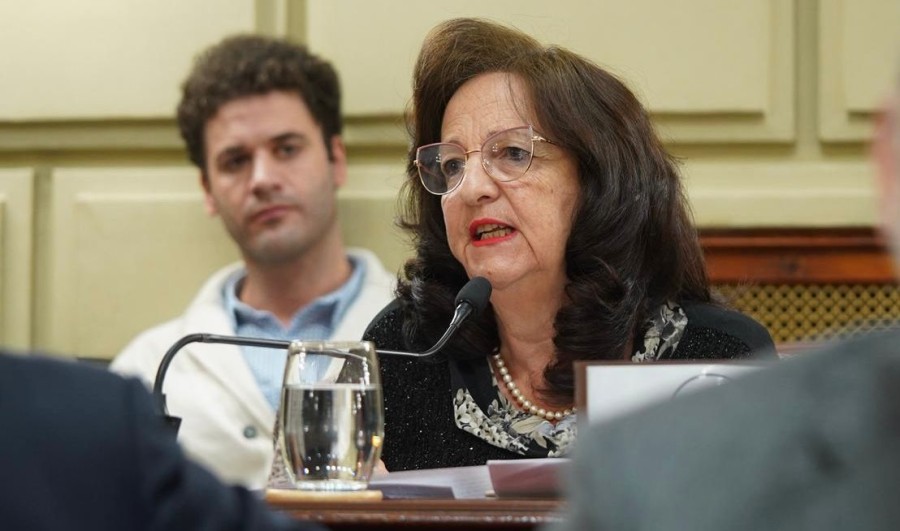 La diputada del Frente Renovador 100% Santafesino, Ver&oacute;nica Porcelli Bar&oacute; Graf.