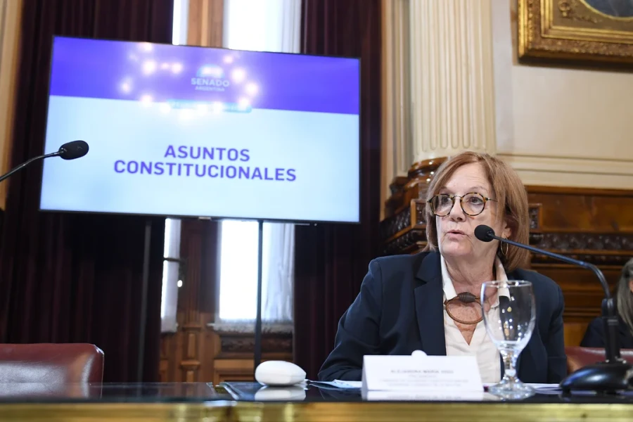 La senadora cordobesa Alejandra Vigo preside la Comisión de Asuntos Constitucionales de la Cámara alta.