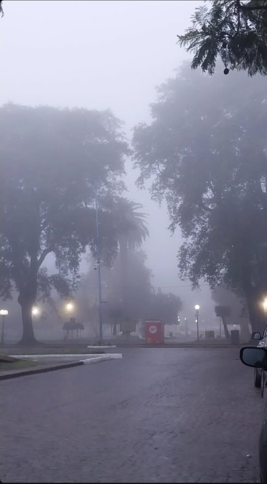 &iquest;BOMBA POLAR? Luego de las lloviznas del fin de semana llegar&iacute;a una seguidilla de jornadas muy frias en Rafaela y la regi&oacute;n.