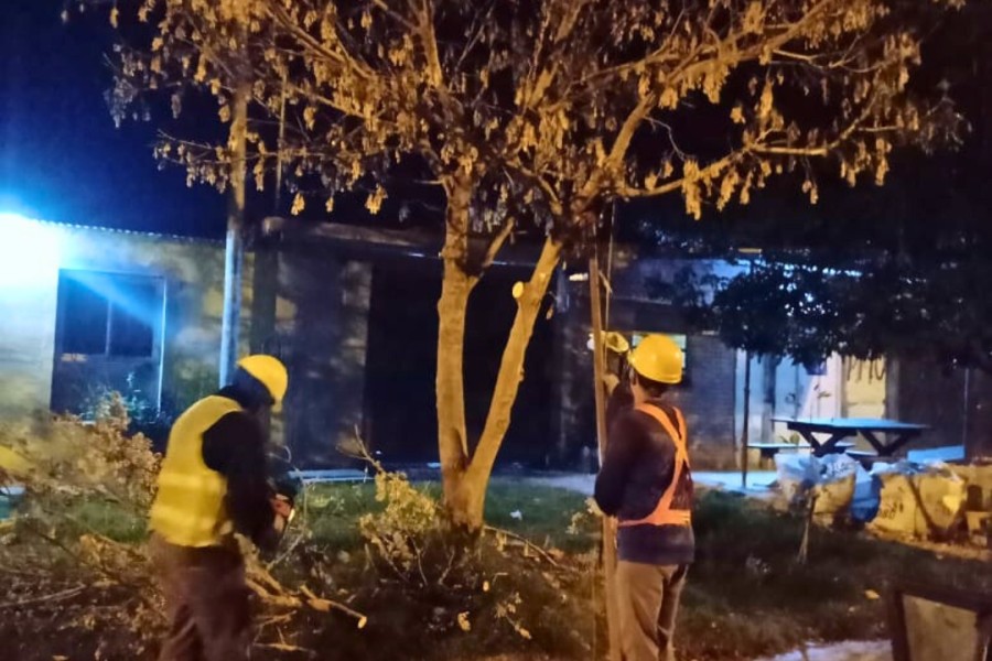 Tareas en avenidas y sectores clave.