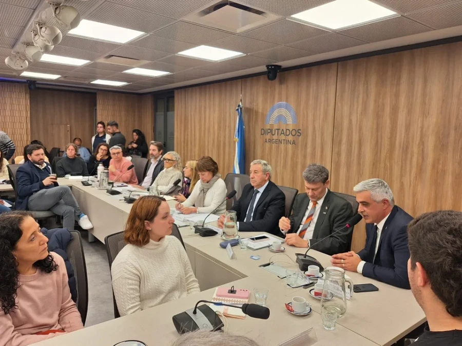 Los bloques opositores de la Cámara de Diputados impulsarán un proyecto de financiamiento universitario.