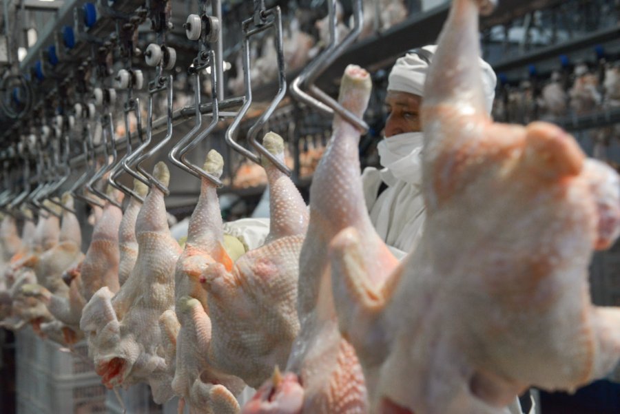 REAPERTURA. La decisión cobró impulso tras una visita de la delegación argentina conformada por autoridades y técnicos.