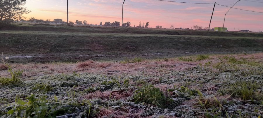 EL FR&Iacute;O COP&Oacute; LA PARADA EN RAFAELA. El jueves arranc&oacute; con una ma&ntilde;ana helada y la escarcha se pudo observar en varios sectores de la ciudad.
