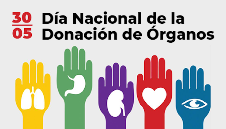 CONCIENTIZACION. En el Día Nacional de la Donación de Órganos se reconoce a todos los donantes que, con su gesto solidario, permiten que cada año miles de personas recuperen su salud o salven su vida