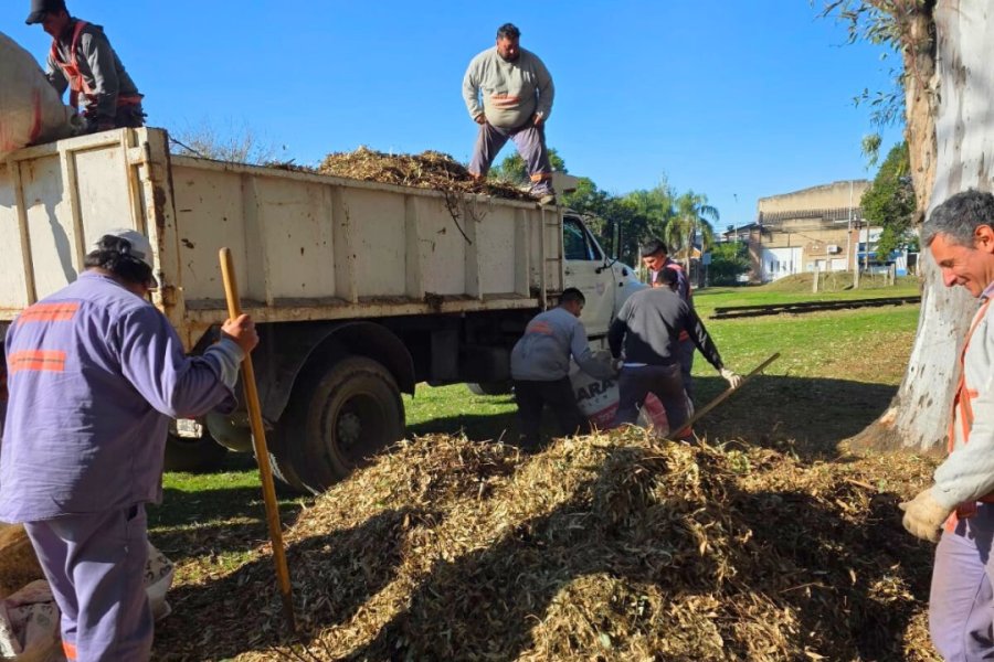 Acciones ambientales en la ciudad.
