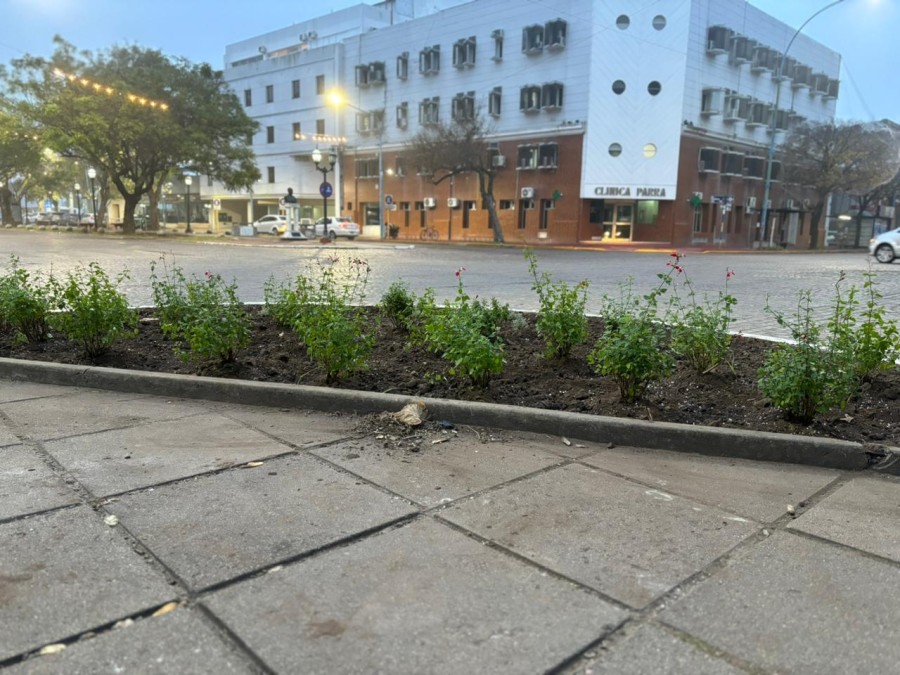 El plan forma parte de una estrategia integral de mejora del paisaje urbano.