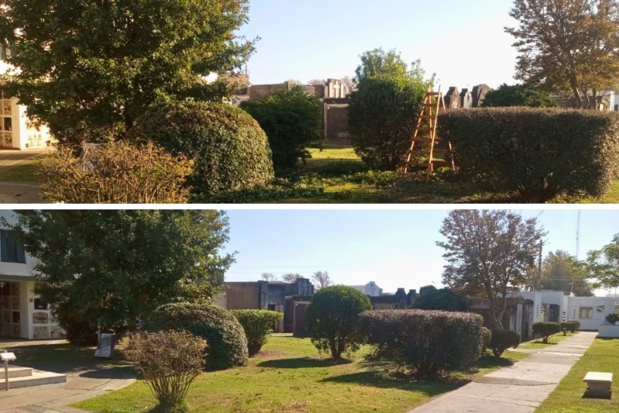 Las labores est&aacute;n a cargo de agentes municipales.