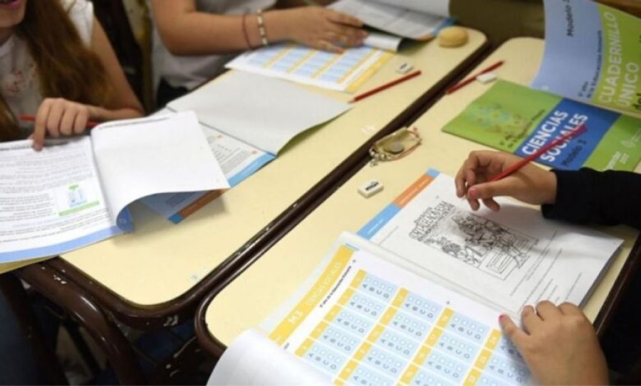 PREOCUPANTE. Alarma por los niveles de alfabetización en muchos estudiantes argentinos.