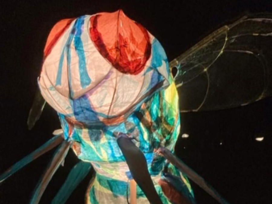 La inscripción se puede realizar hasta el martes 8 de julio.