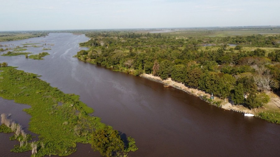 Protección de los humedales.