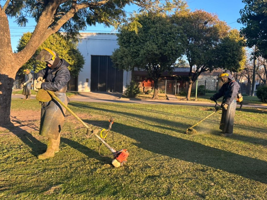 Garantizar que el entorno esté en condiciones óptimas para la celebración.