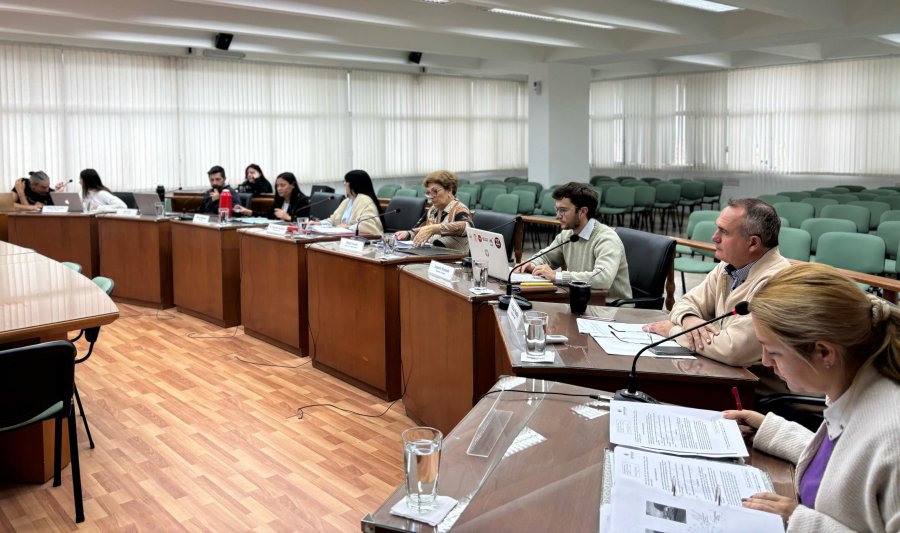 El Concejo tendrá dos sesiones en apenas tres días hábiles de la próxima semana.