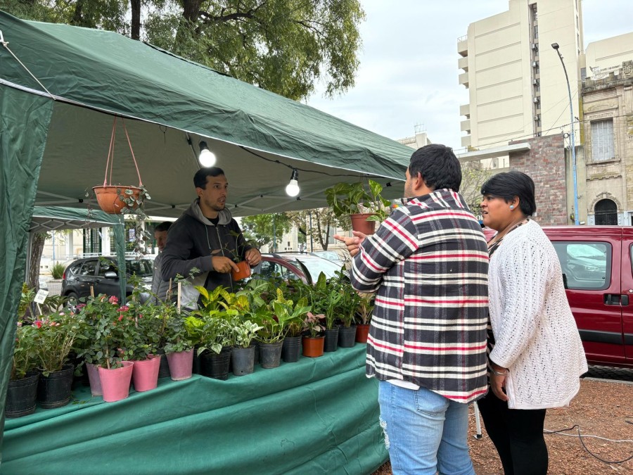 Trece emprendedores locales verdes serán protagonistas de una jornada especial.