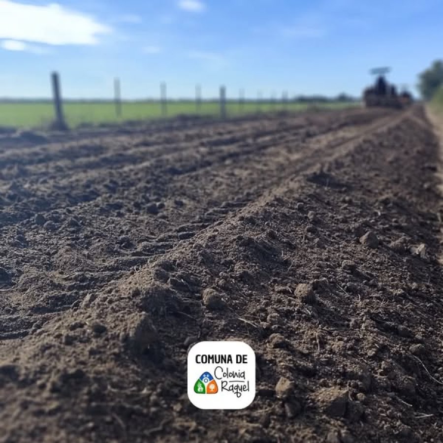 Uno de los caminos intervenidos.