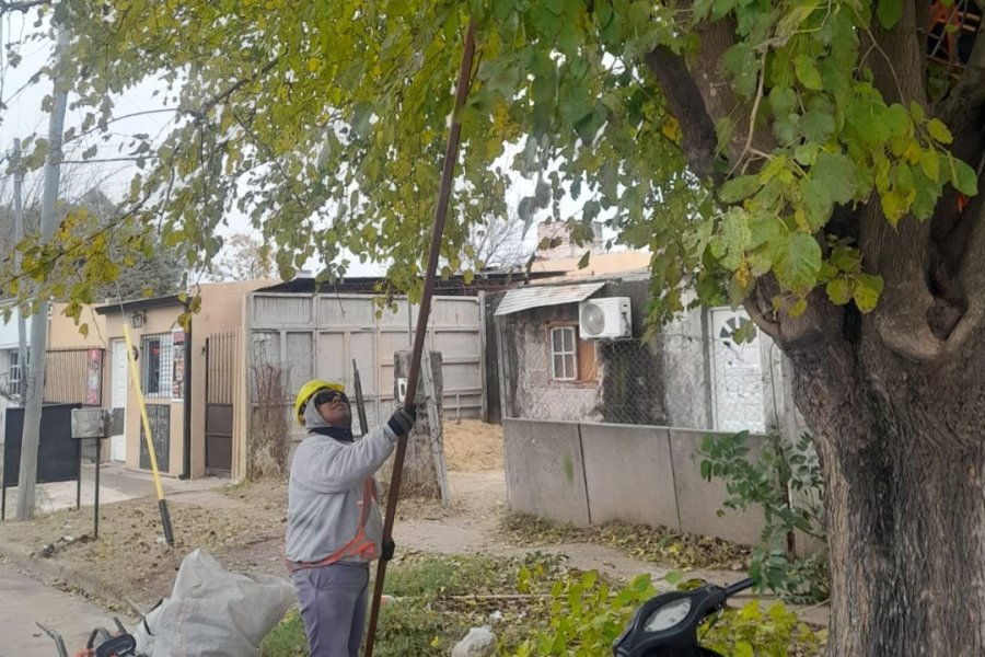 Continúa el programa de higiene urbana y mantenimiento del espacio público.