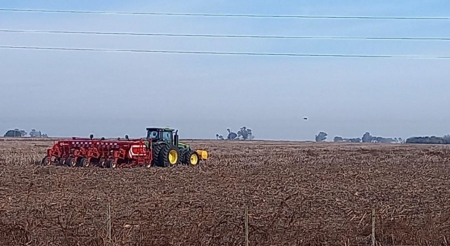 CAMPAÑA. La salida de las cosechadoras le da paso a las sembradoras para implantar el trigo