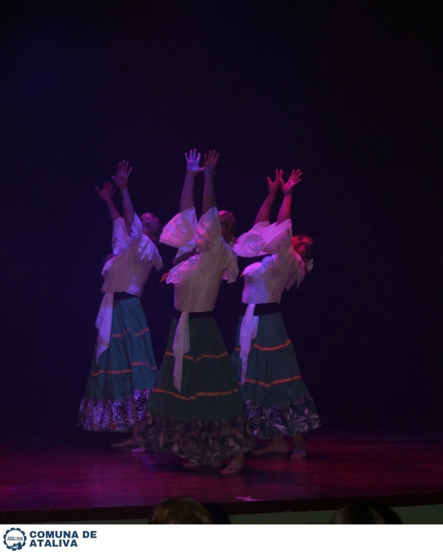 Una de las coreografías exaltando el pabellón patrio.
