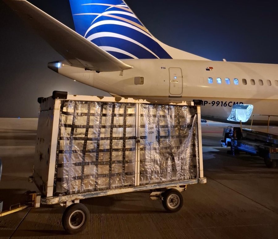 Se busca abrir nuevos mercados para las economías regionales.