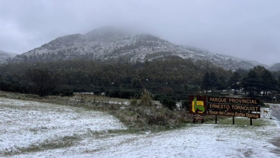 FENOMENO. Ante la llegada de la Ola Polar, nevó en un par de regiones de la provincia de Buenos Aires.