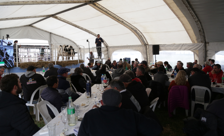 ÉXITO TOTAL. La subasta fue ágil, dinámica y dejó muy buenos precios.