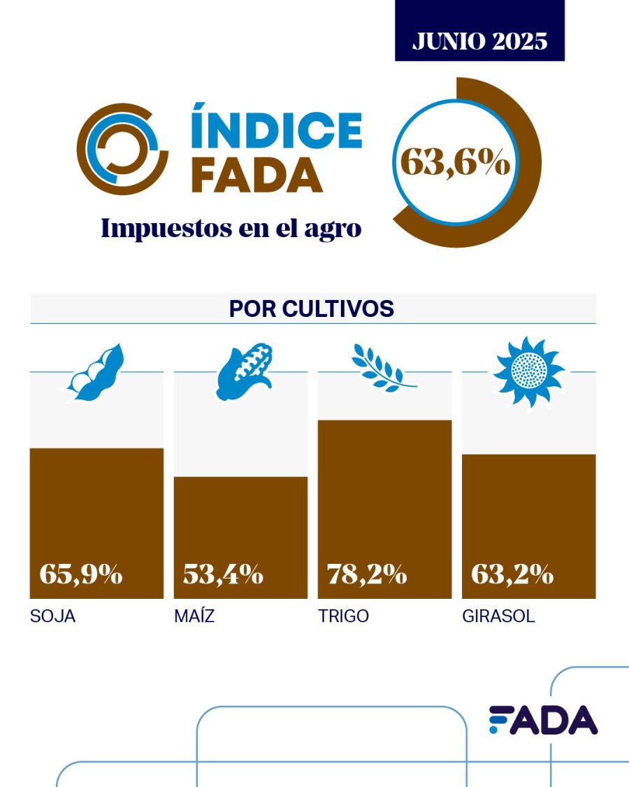 PRESIÓN. Los precios de los granos bajan, la renta se achica y la carga impositiva sube.
