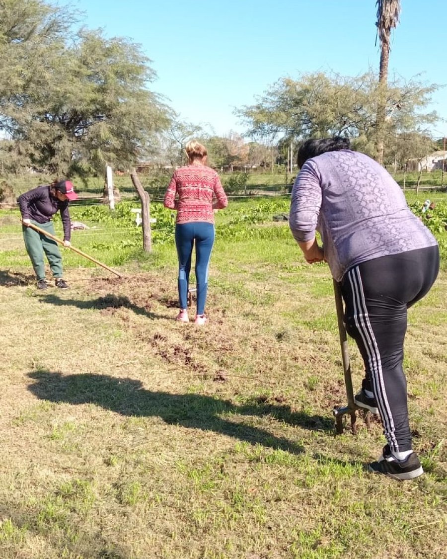 Está en marcha la huerta comunitaria.