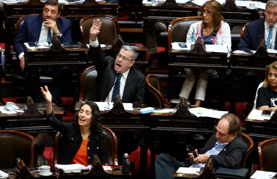 El Gobierno cuenta con una escasa representación legislativa, y en Diputados cedió la iniciativa. .