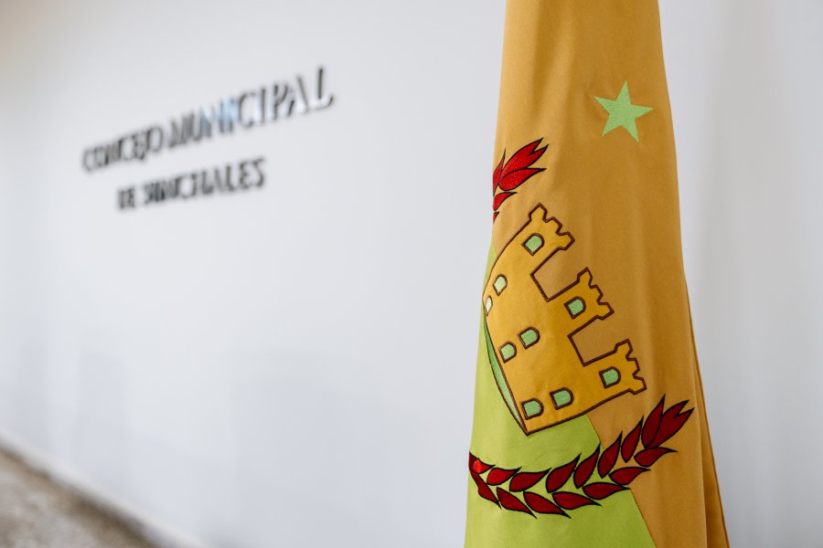 La bandera de Sunchales, uno de los pabellones que presiden los encuentros delberativos.