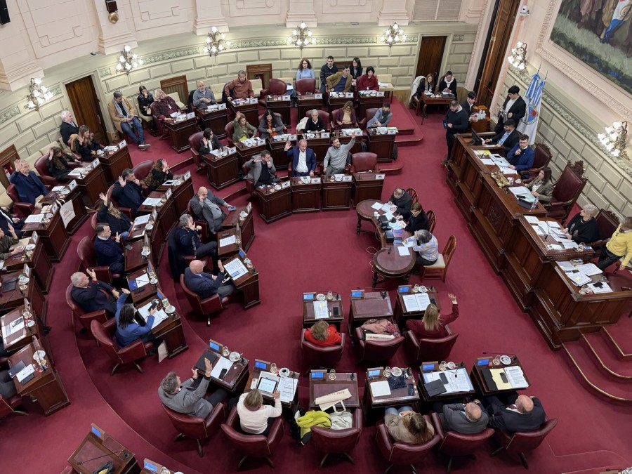 La Cámara de Diputados sancionó la prórroga de la ley de emergencia.
