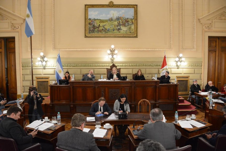 La vicegobernadora Gisela Scaglia presidi&oacute; la sesi&oacute;n del Senado. (FOTO SENADO)