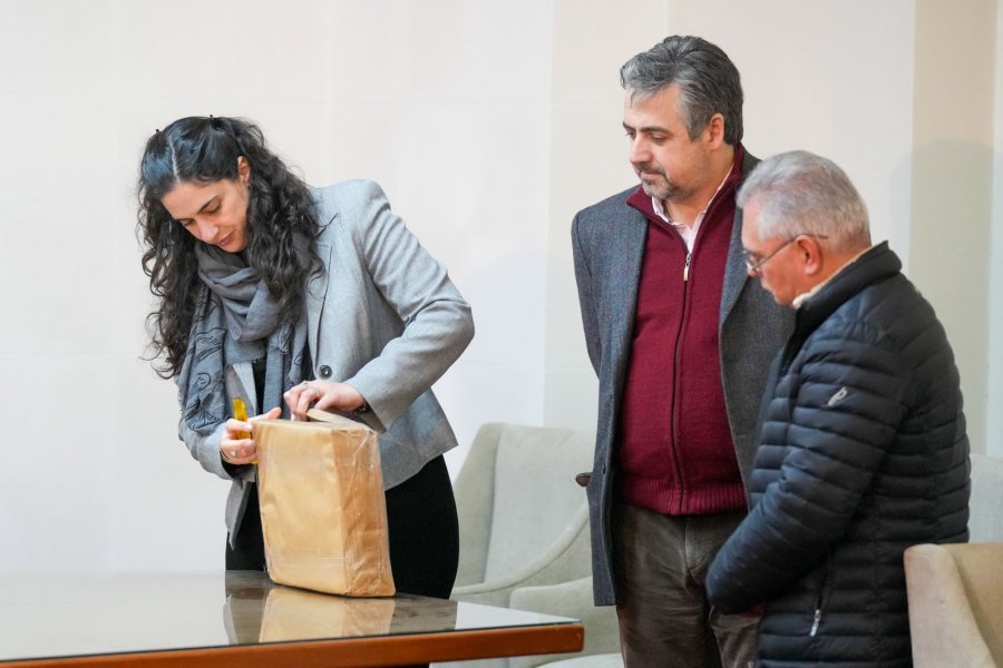 Dos ofertas se presentaron en la licitaci&oacute;n para la compra de cinco body scanners y cinco scanners.(FOTO SCS)