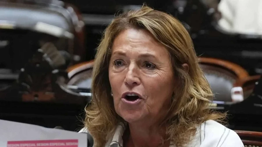 Diputada Marcela Campagnoli.