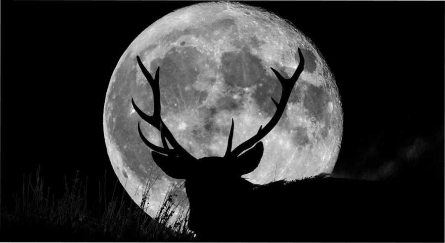 ASTROLOGIA. Este jueves por la tarde podrá verse la totalidad del satélite natural en nuestra ciudad.