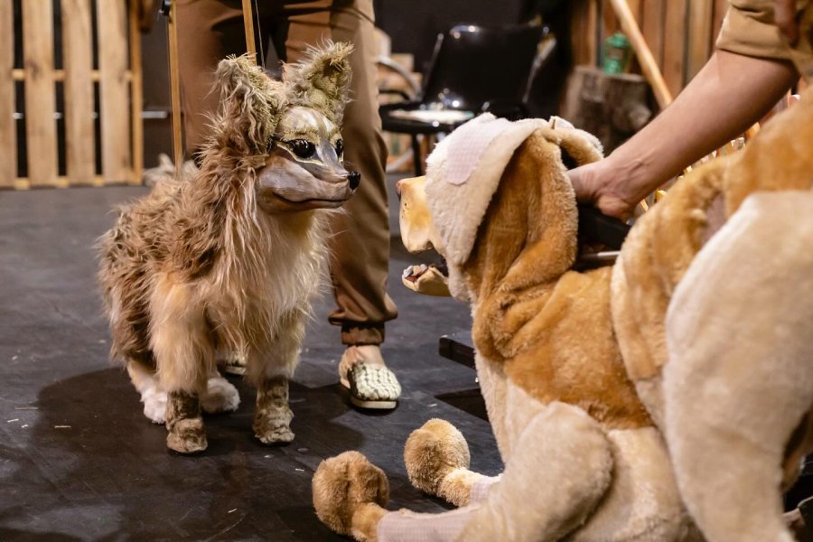 El zorro, el labrador y el buen hombre.