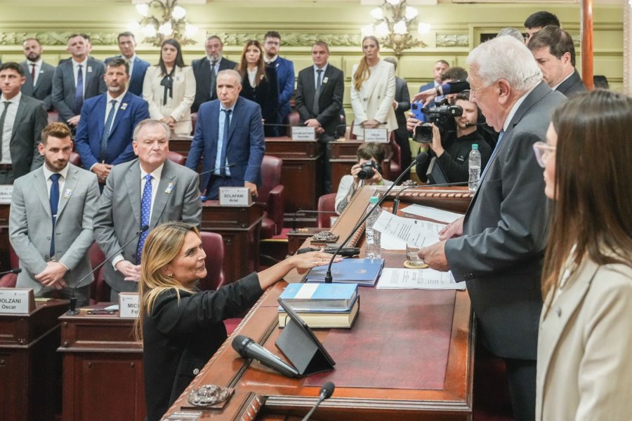 Amalia Granata jura como convencional en una sesi&oacute;n en la que critic&oacute; fuertemente a Felipe Michlig. (PRENSA CONVENCI&Oacute;N)