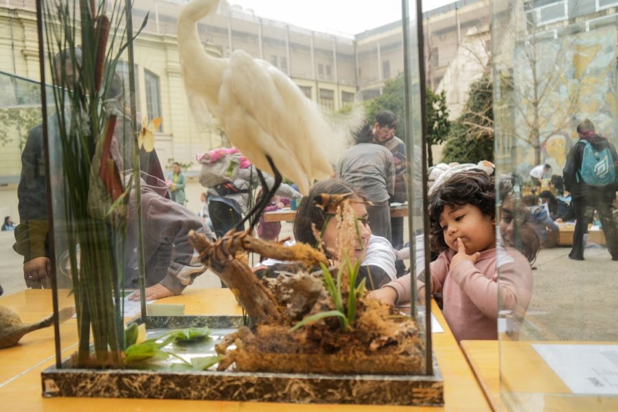 ACTIVIDADES. Salas, espacios públicos, museos y centros culturales de pueblos y ciudades de la provincia son escenario para la programación que culminará el próximo domingo.