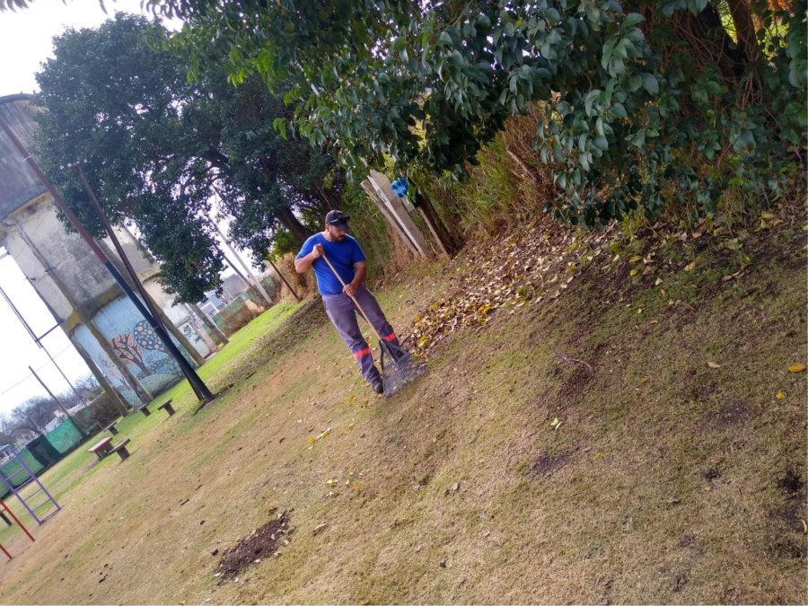 RECOLECCION DE HOJAS.  Los equipos municipales continúan realizando trabajos de barrido manual y mecánico en distintos sectores de la ciudad.
