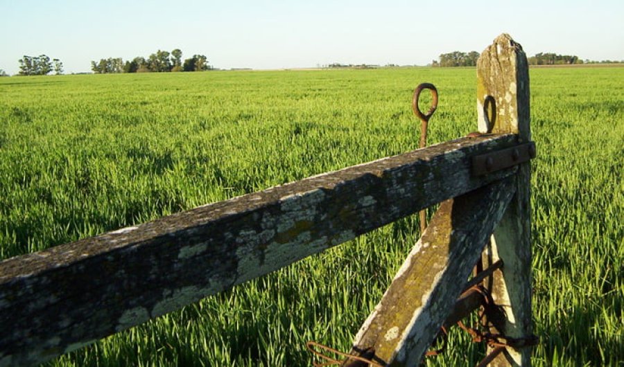 POSITIVO. El primer semestre dejó conforme al sector.