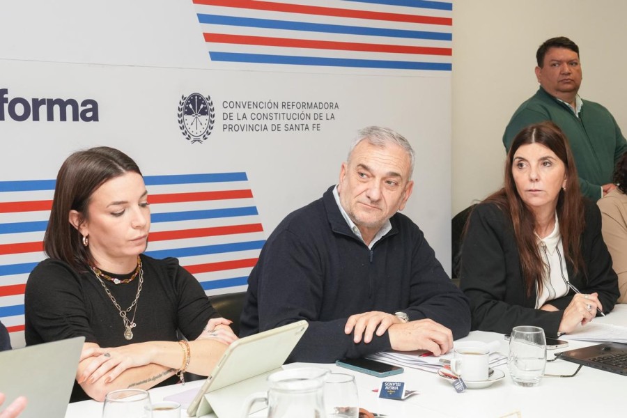 Alcides Calvo en la reunión de la Comisión de Funcionamiento del Estado y Participación Ciudadana.