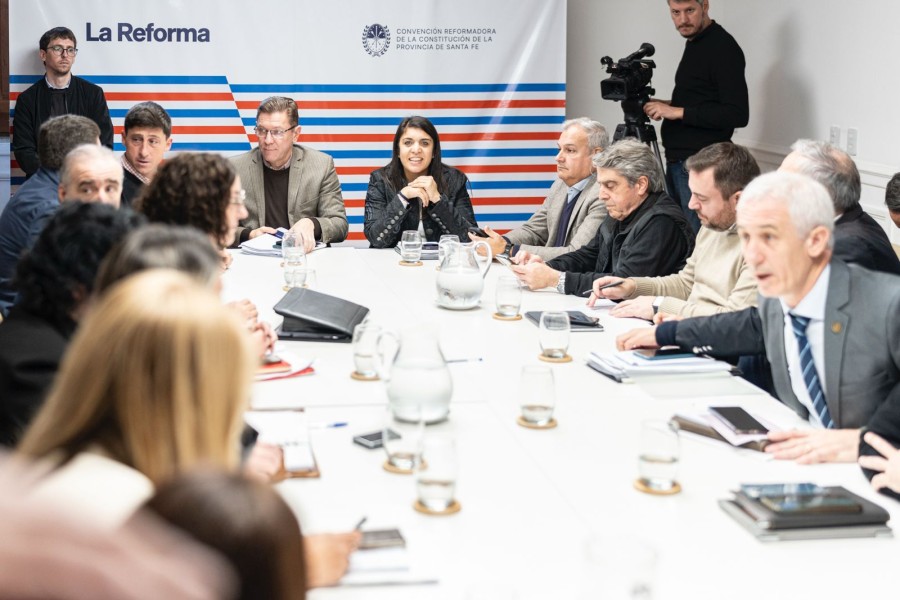 La Comisión de Poder Legislativo y Ejecutivo es presidida por el convencional y senador provincial Rodrigo Borla.