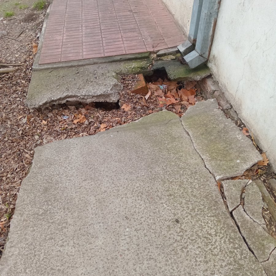 Una vereda sumamente peligrosa.