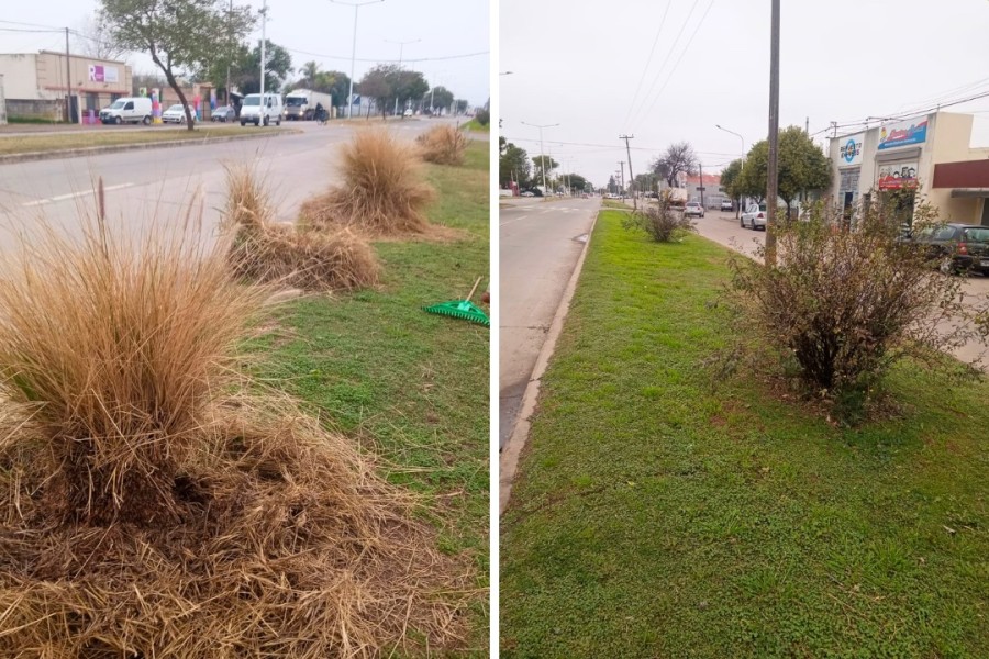 Las labores están a cargo de agentes municipales.