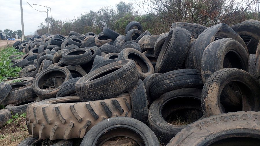 Comenzó la clasificación y acopio de neumáticos fuera de uso.