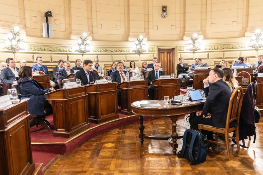 La Comisi&oacute;n del Poder Judicial se reuni&oacute; bajo la presidencia de Lisandro Enrico. (FOTO PRENSA CONVENCI&Oacute;N)